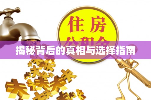 屯溪揭秘背后的真相与选择指南