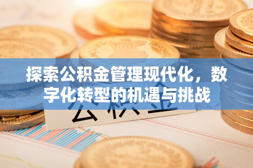 屯溪探索公积金管理现代化，数字化转型的机遇与挑战