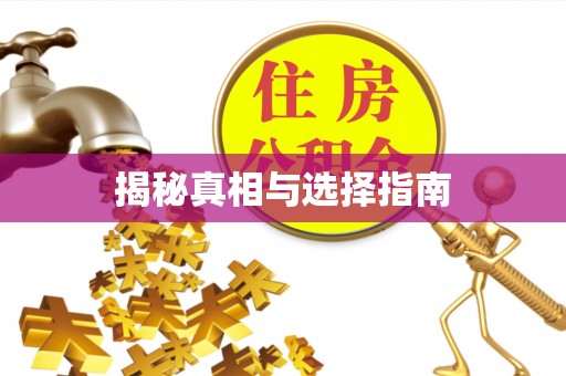 屯溪揭秘真相与选择指南