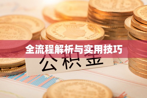 屯溪全流程解析与实用技巧