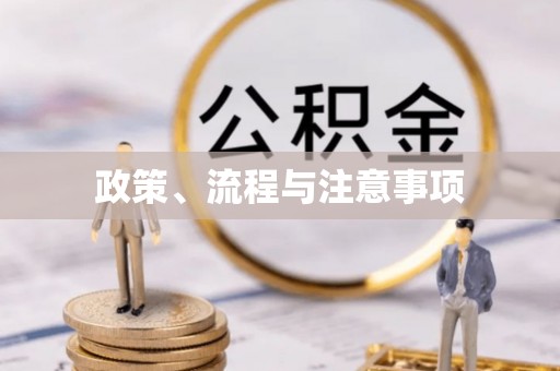 屯溪政策、流程与注意事项