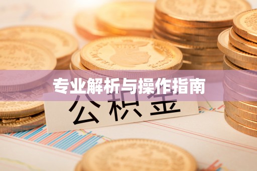 屯溪专业解析与操作指南