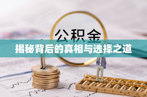 屯溪揭秘背后的真相与选择之道