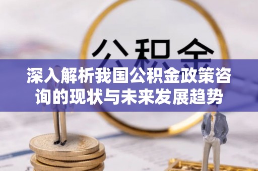 屯溪深入解析我国公积金政策咨询的现状与未来发展趋势