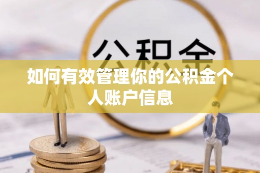 屯溪如何有效管理你的公积金个人账户信息