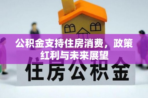 屯溪公积金支持住房消费，政策红利与未来展望