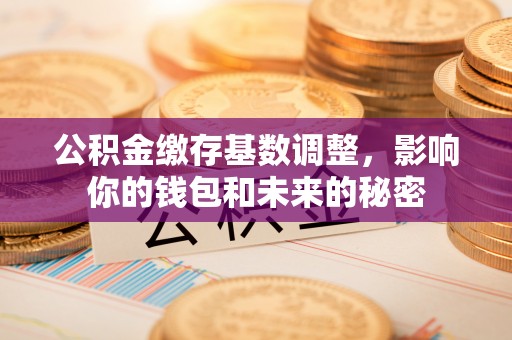 屯溪公积金缴存基数调整，影响你的钱包和未来的秘密