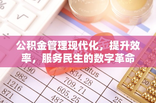 屯溪公积金管理现代化，提升效率，服务民生的数字革命