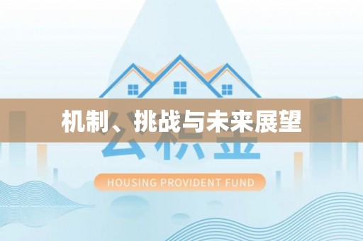 屯溪机制、挑战与未来展望