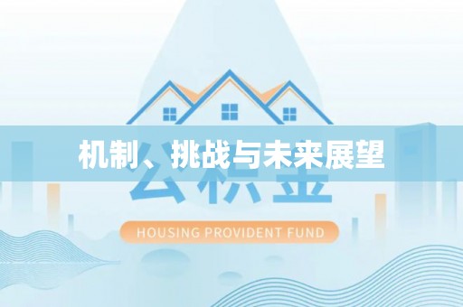 屯溪机制、挑战与未来展望